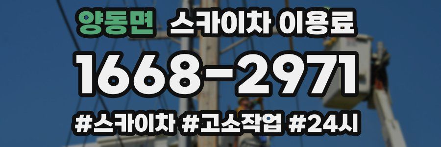 양동면 스카이차 이용료