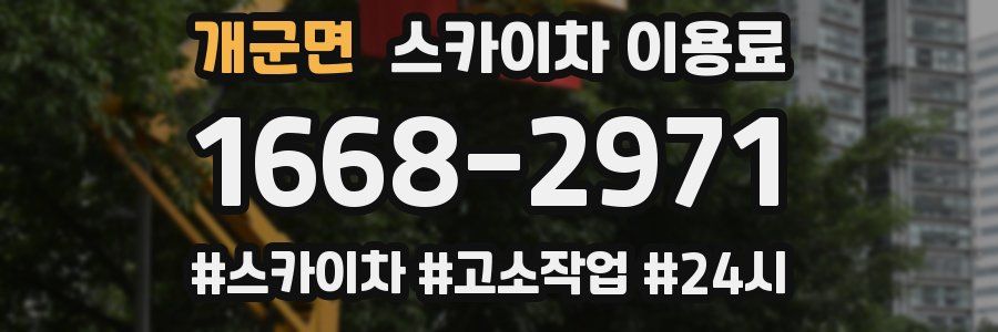개군면 스카이차 이용료
