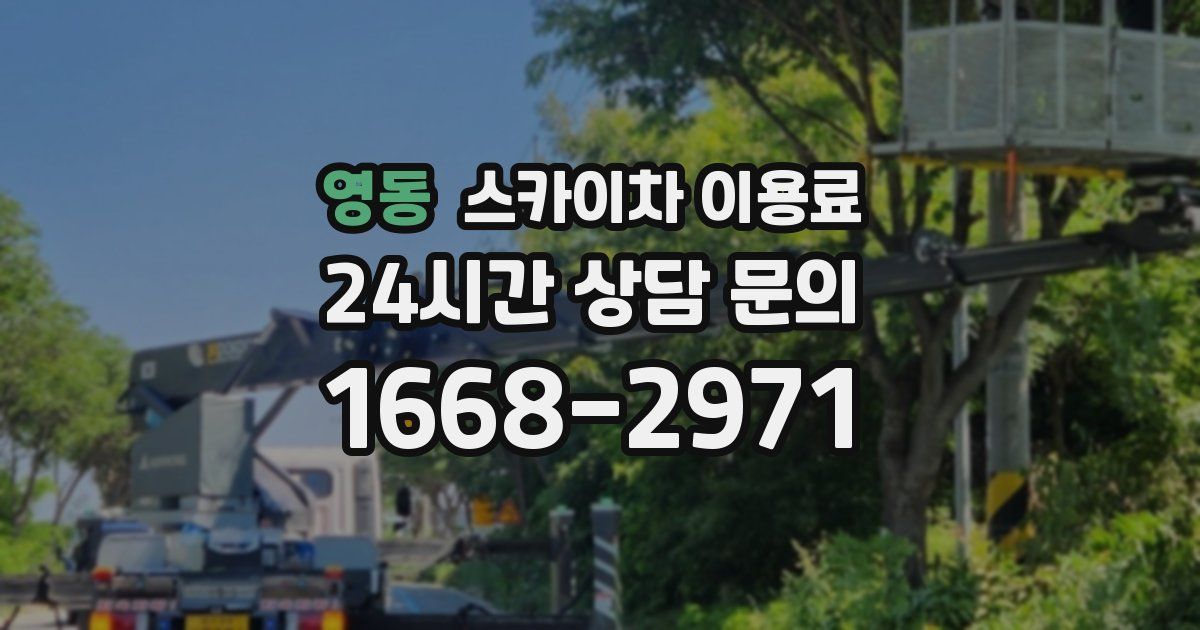 영동 스카이차 이용료