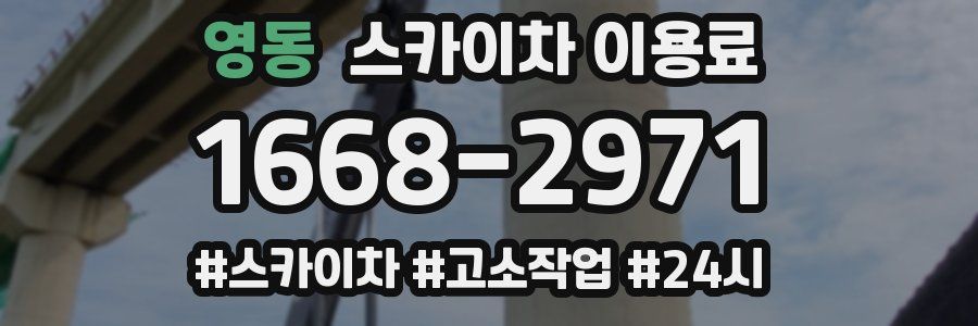 영동 스카이차 이용료