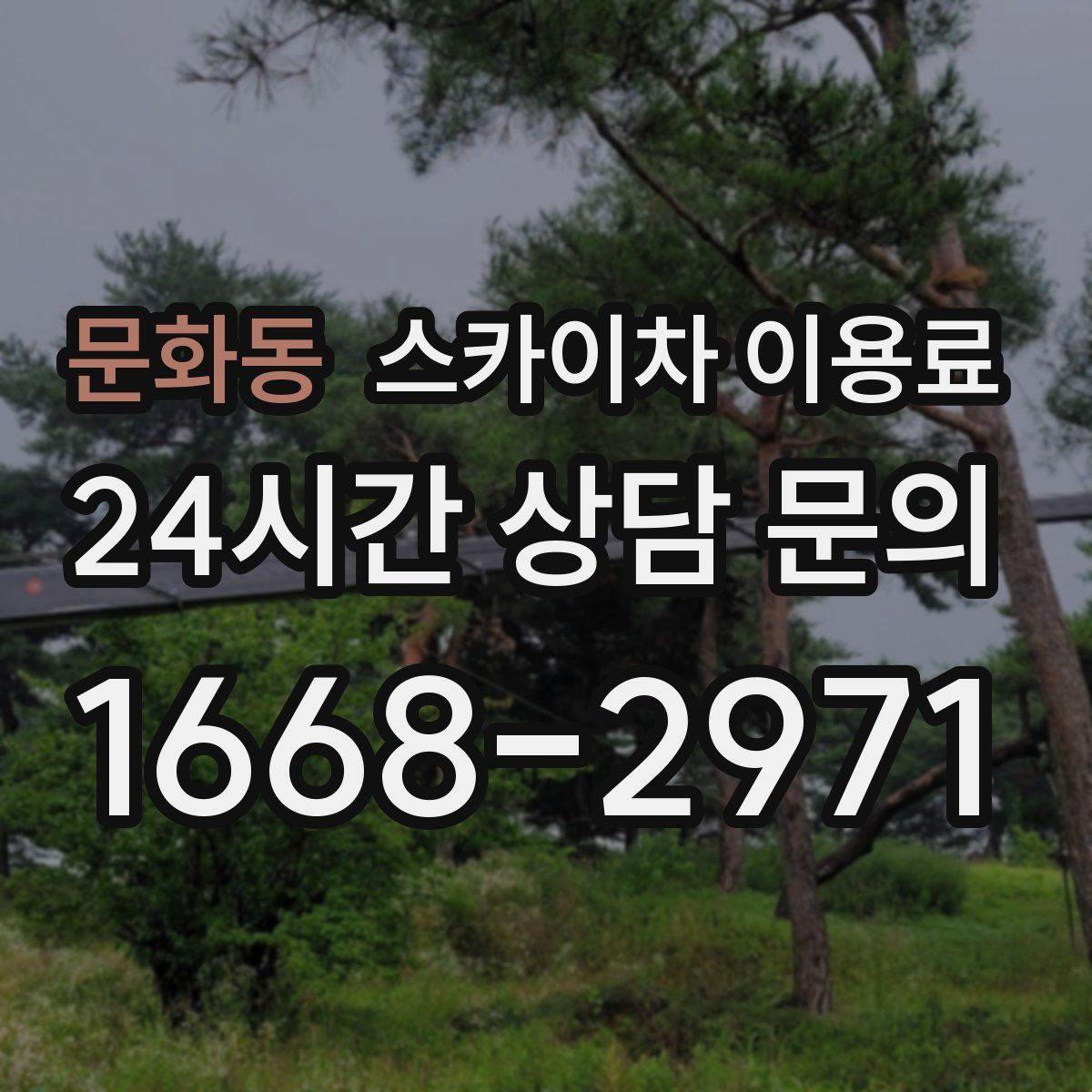 문화동 스카이차 이용료