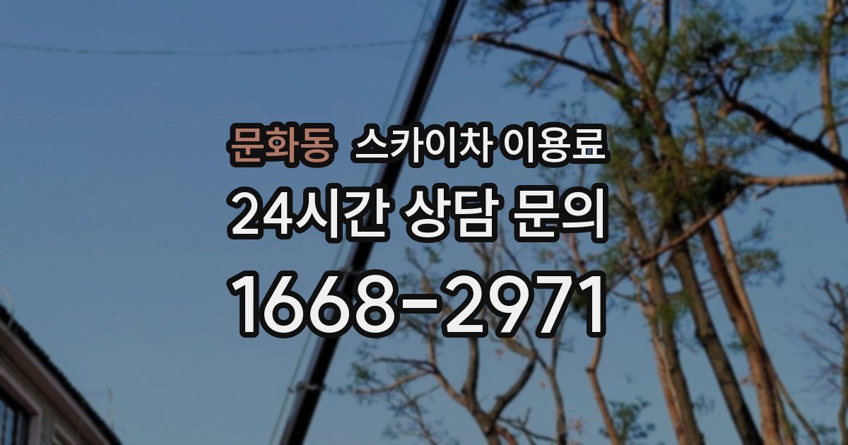 문화동 스카이차 이용료