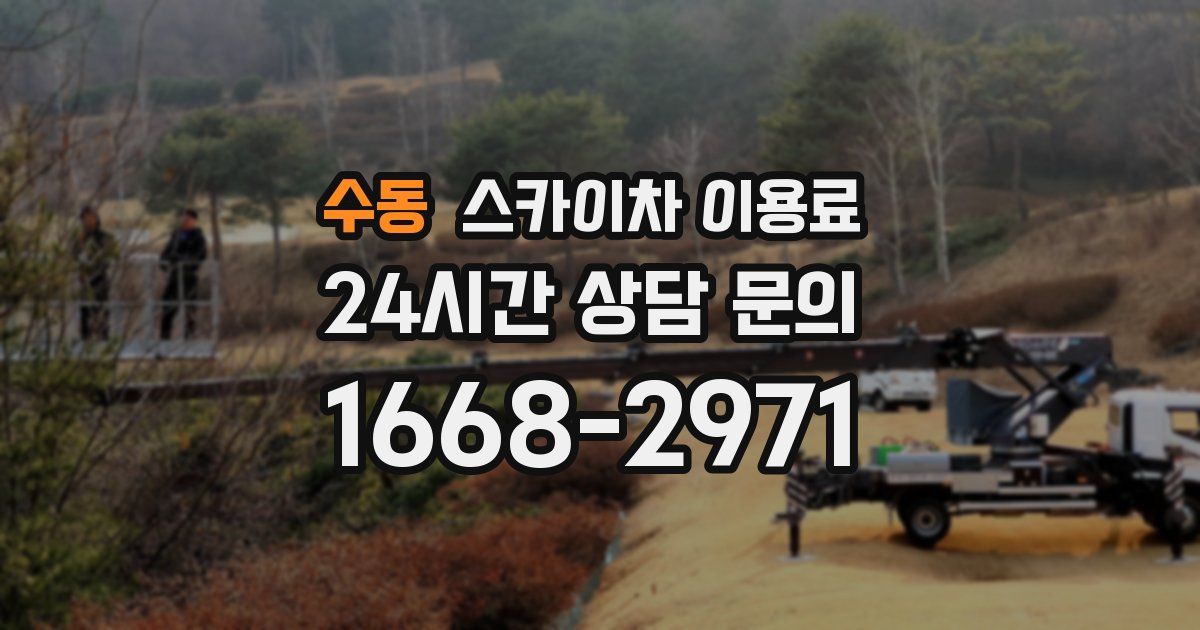 수동 스카이차 이용료
