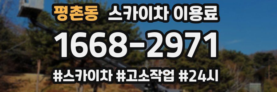 평촌동 스카이차 이용료