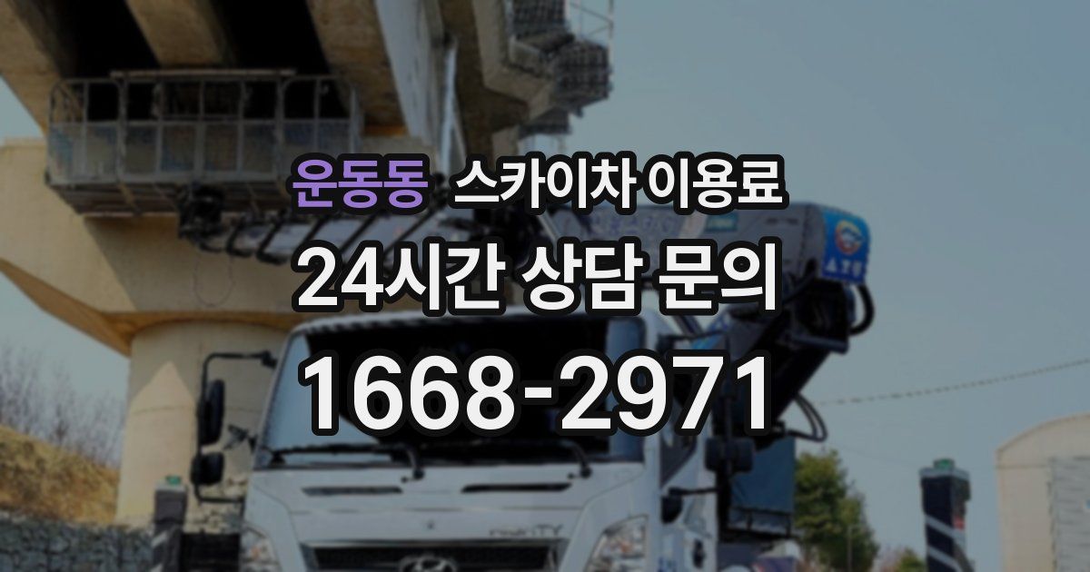 운동동 스카이차 이용료