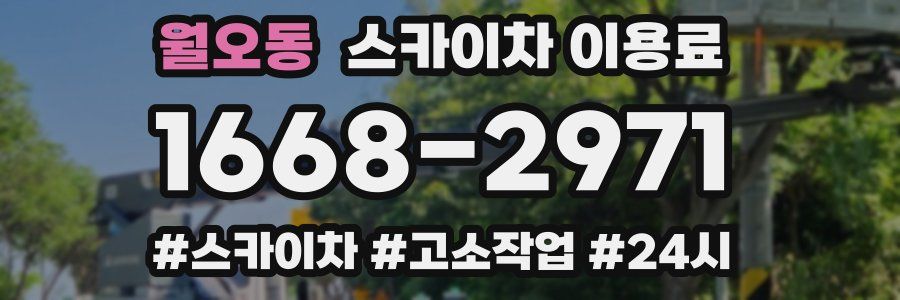 월오동 스카이차 이용료