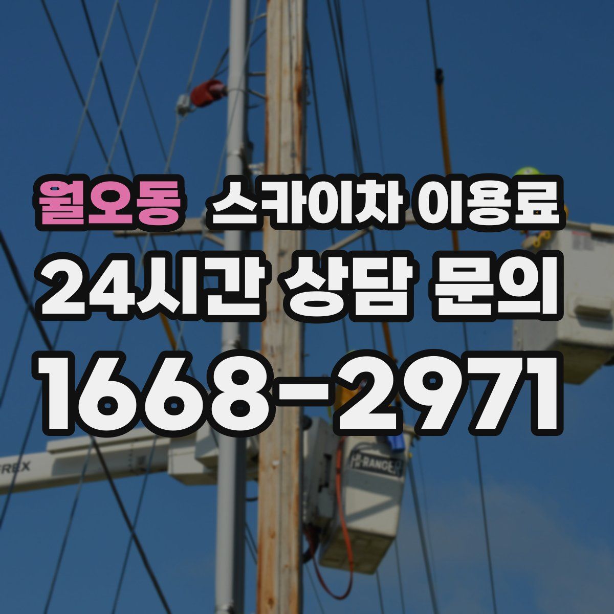월오동 스카이차 이용료
