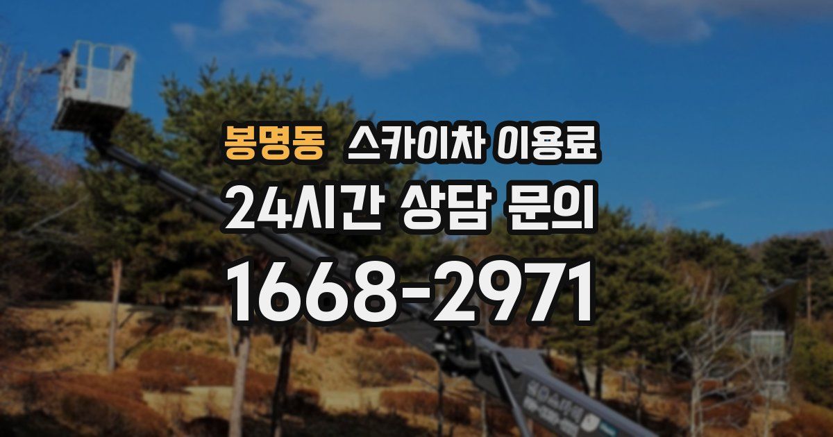 봉명동 스카이차 이용료