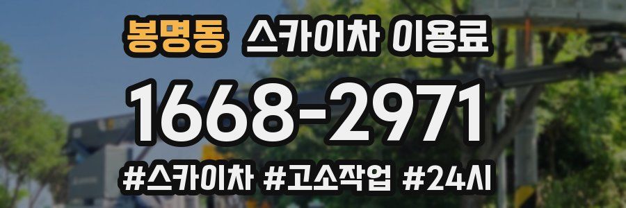 봉명동 스카이차 이용료