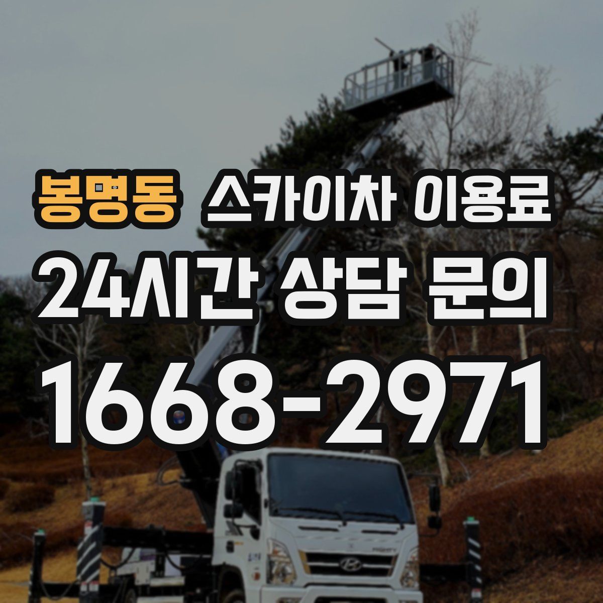 봉명동 스카이차 이용료