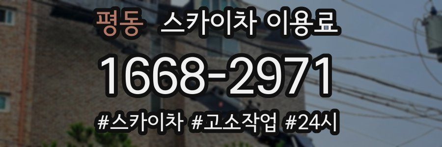 평동 스카이차 이용료