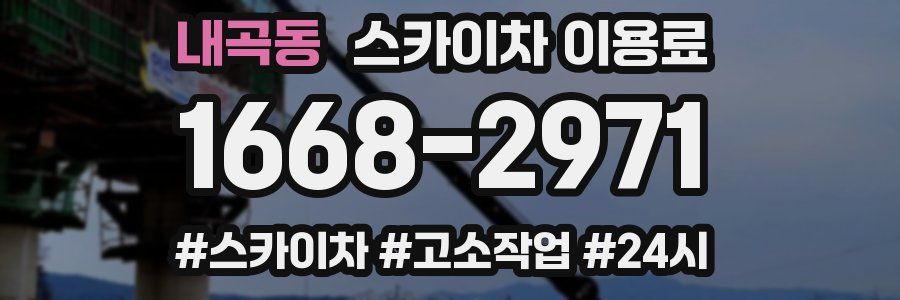 내곡동 스카이차 이용료