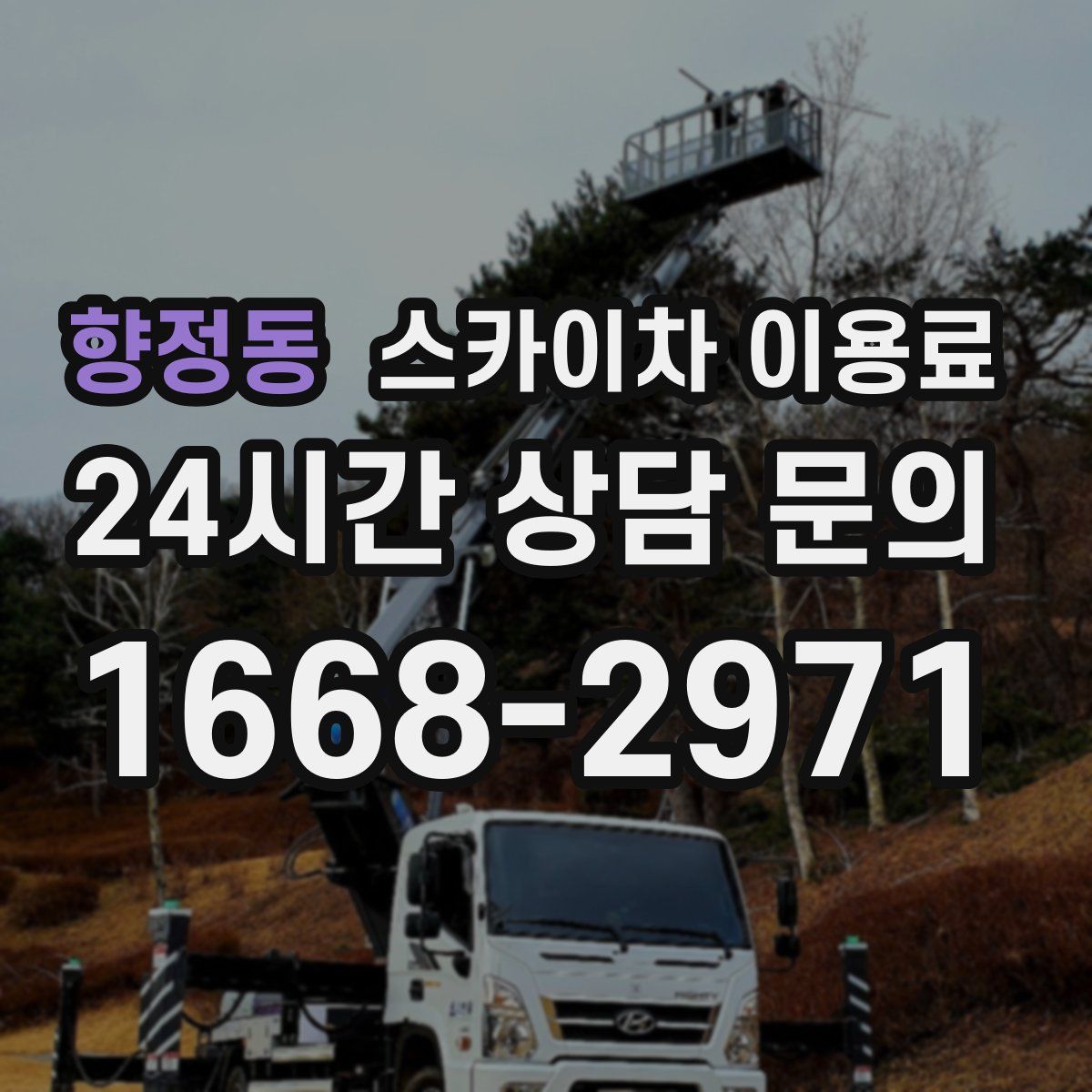 향정동 스카이차 이용료