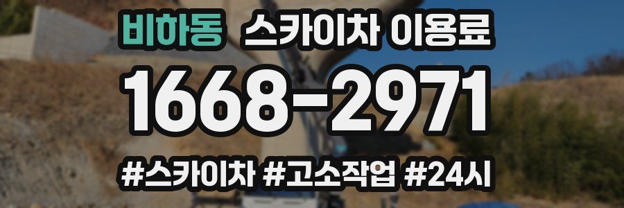 비하동 스카이차 이용료