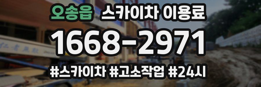 오송읍 스카이차 이용료