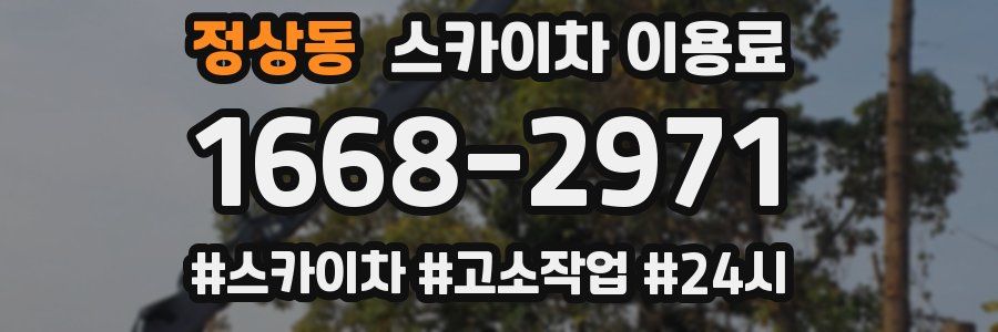 정상동 스카이차 이용료