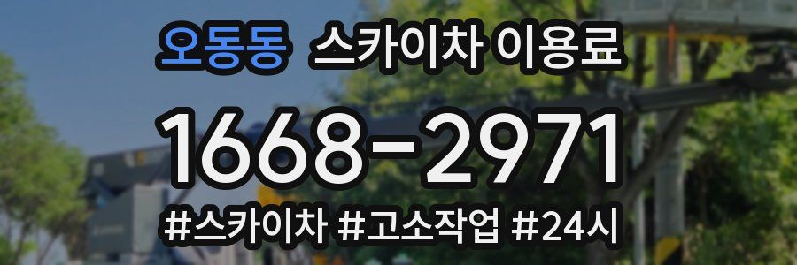 오동동 스카이차 이용료