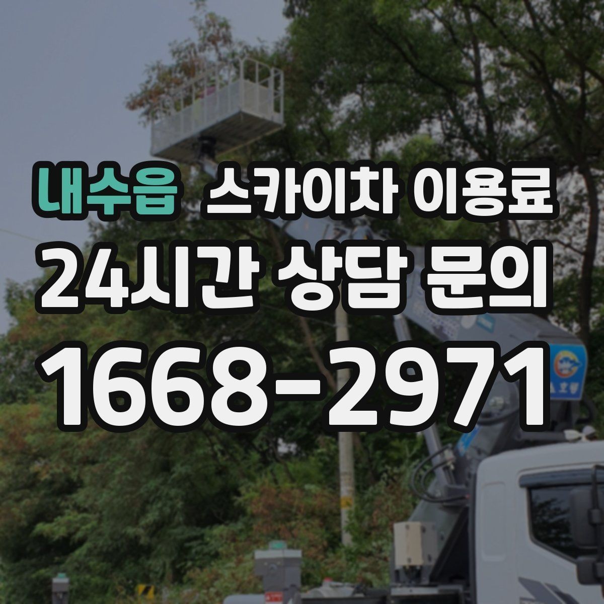 내수읍 스카이차 이용료 비교할 때 주의할 부분