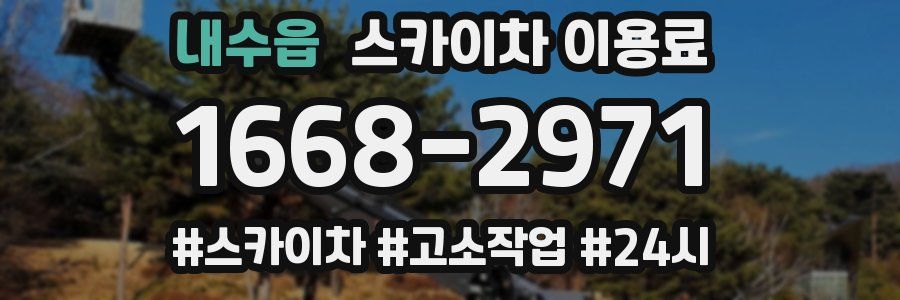 내수읍 스카이차 이용료