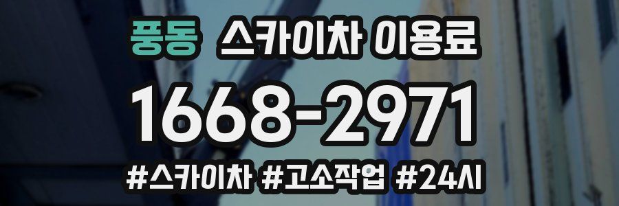 풍동 스카이차 이용료