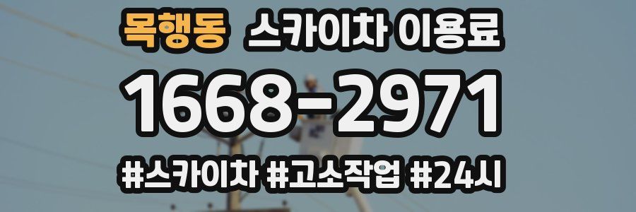 목행동 스카이차 이용료