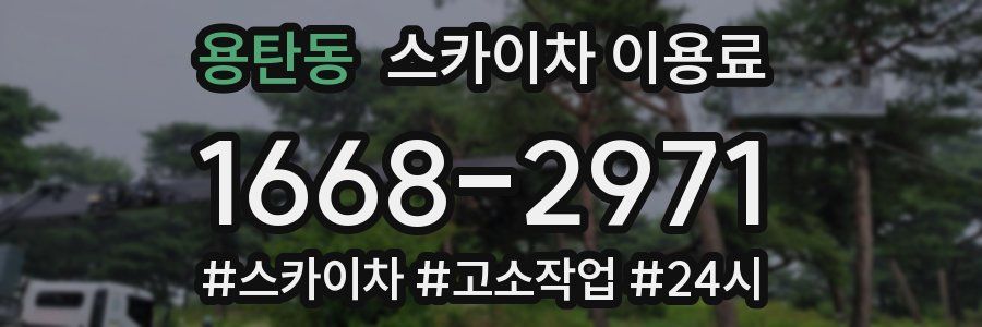 용탄동 스카이차 이용료