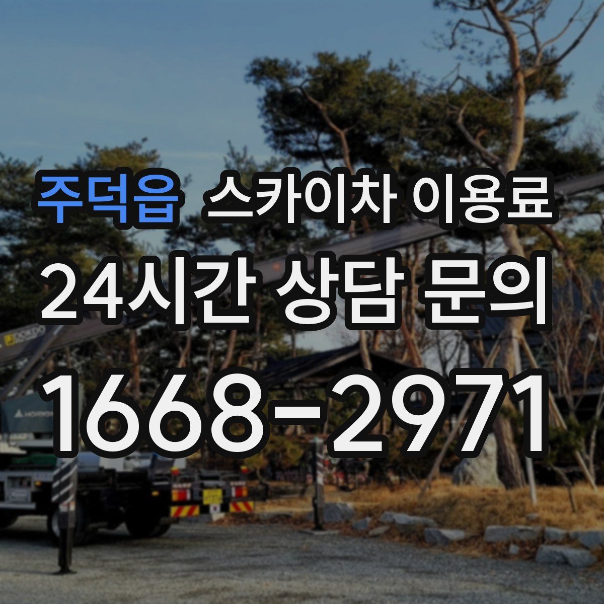 주덕읍 스카이차 이용료