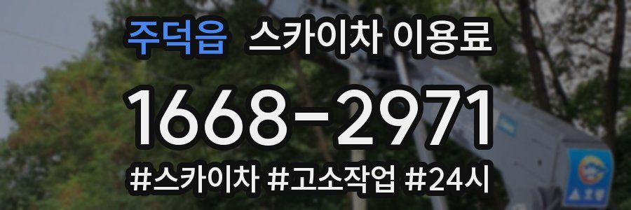 주덕읍 스카이차 이용료