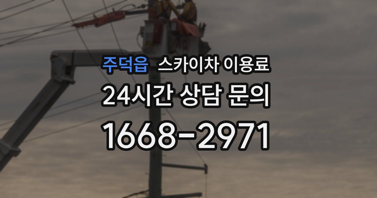 주덕읍 스카이차 이용료