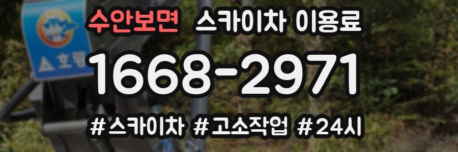 수안보면 스카이차 이용료