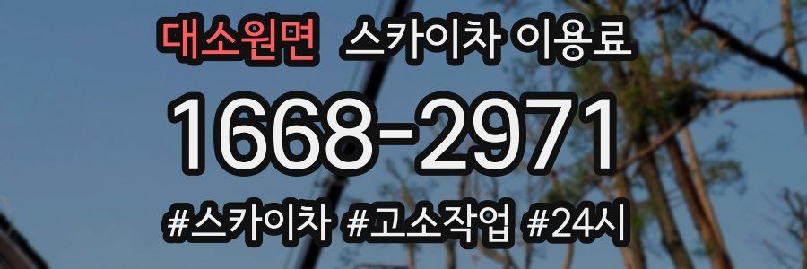 대소원면 스카이차 이용료