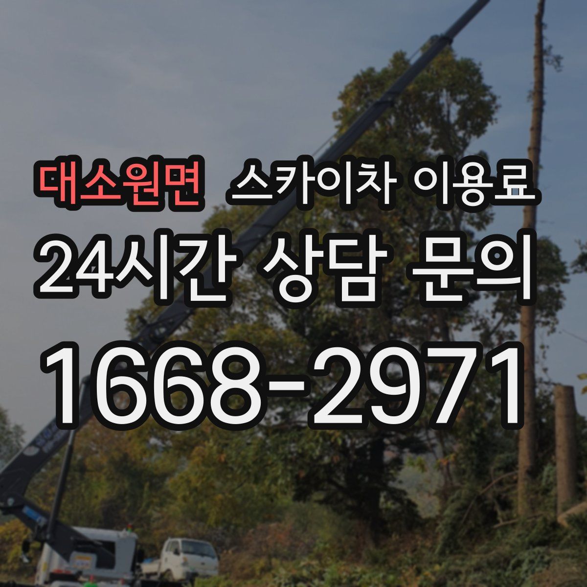 대소원면 스카이차 이용료