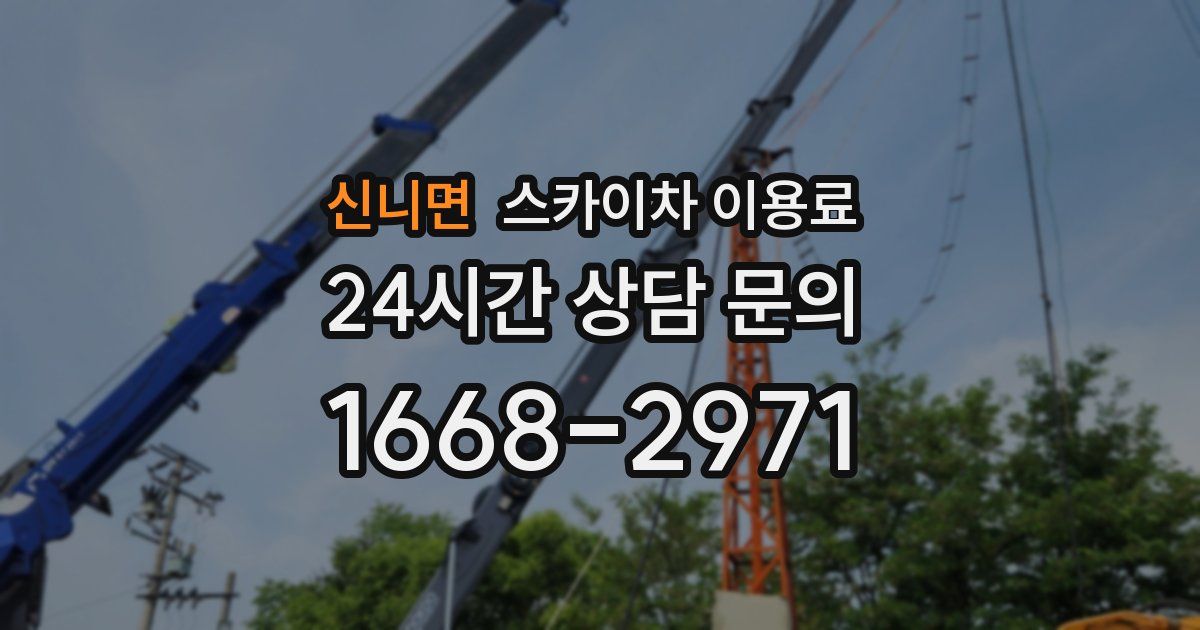 신니면 스카이차 이용료