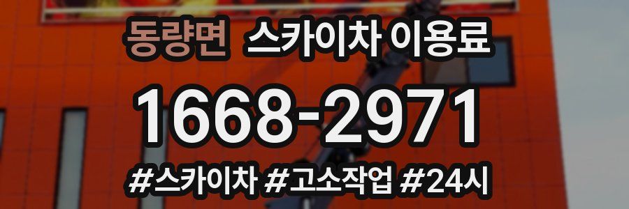 동량면 스카이차 이용료