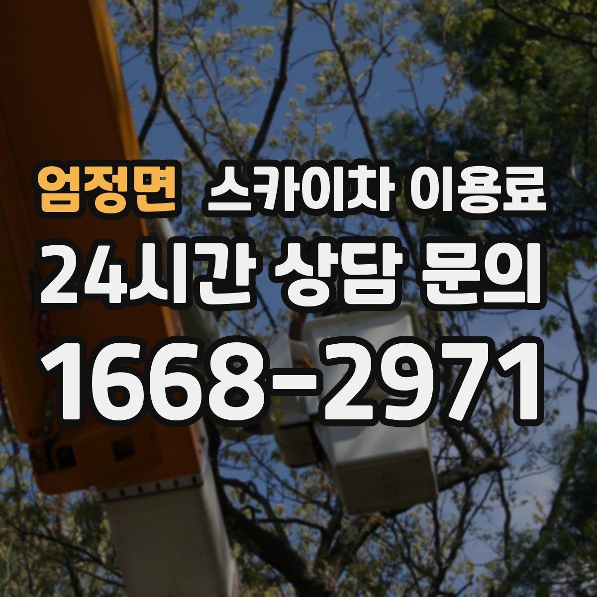 엄정면 스카이차 이용료 상담 후 바로 확인할 사항