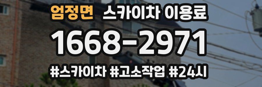 엄정면 스카이차 이용료