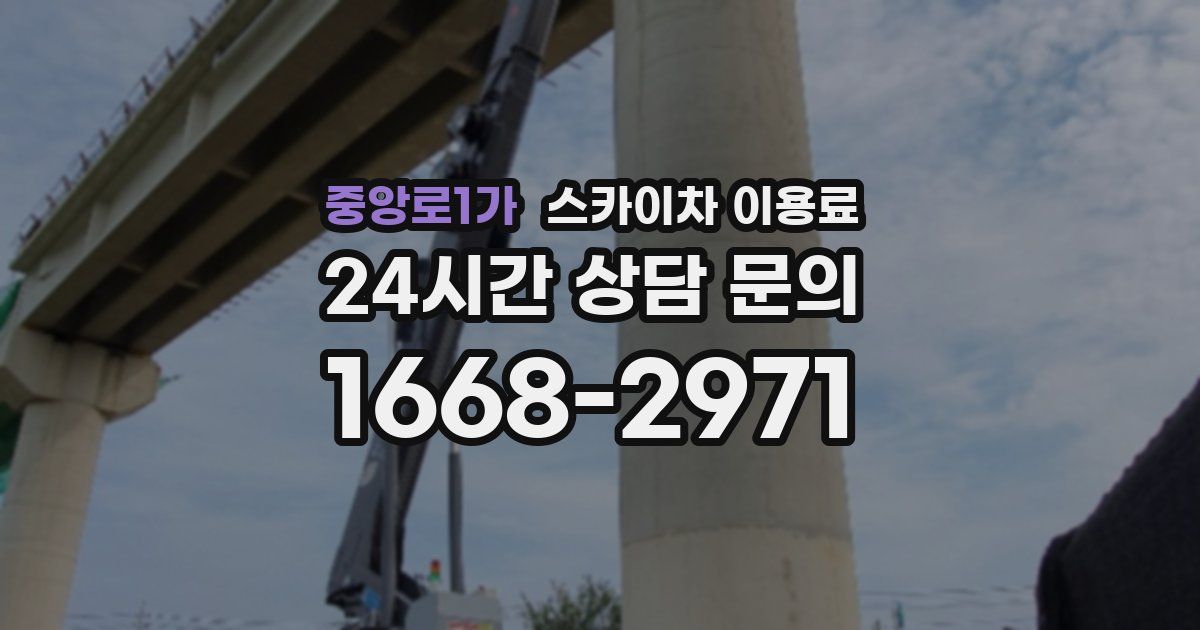 중앙로1가 스카이차 이용료