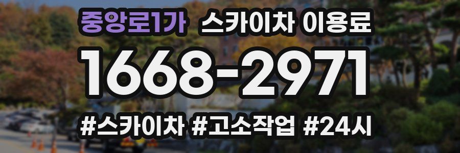 중앙로1가 스카이차 이용료