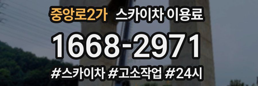 중앙로2가 스카이차 이용료