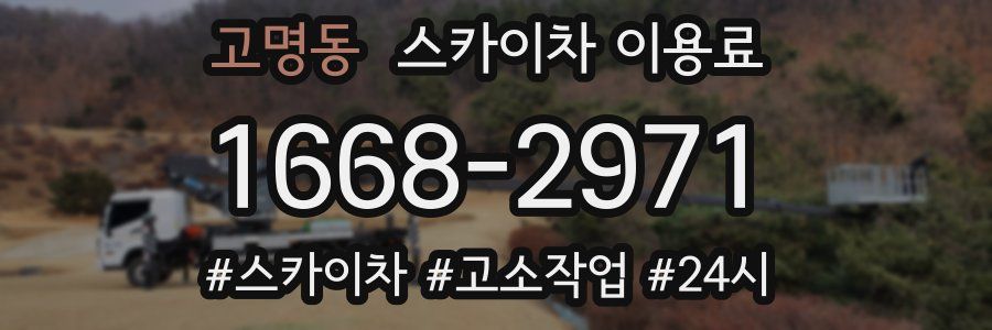 고명동 스카이차 이용료