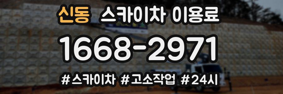 신동 스카이차 이용료
