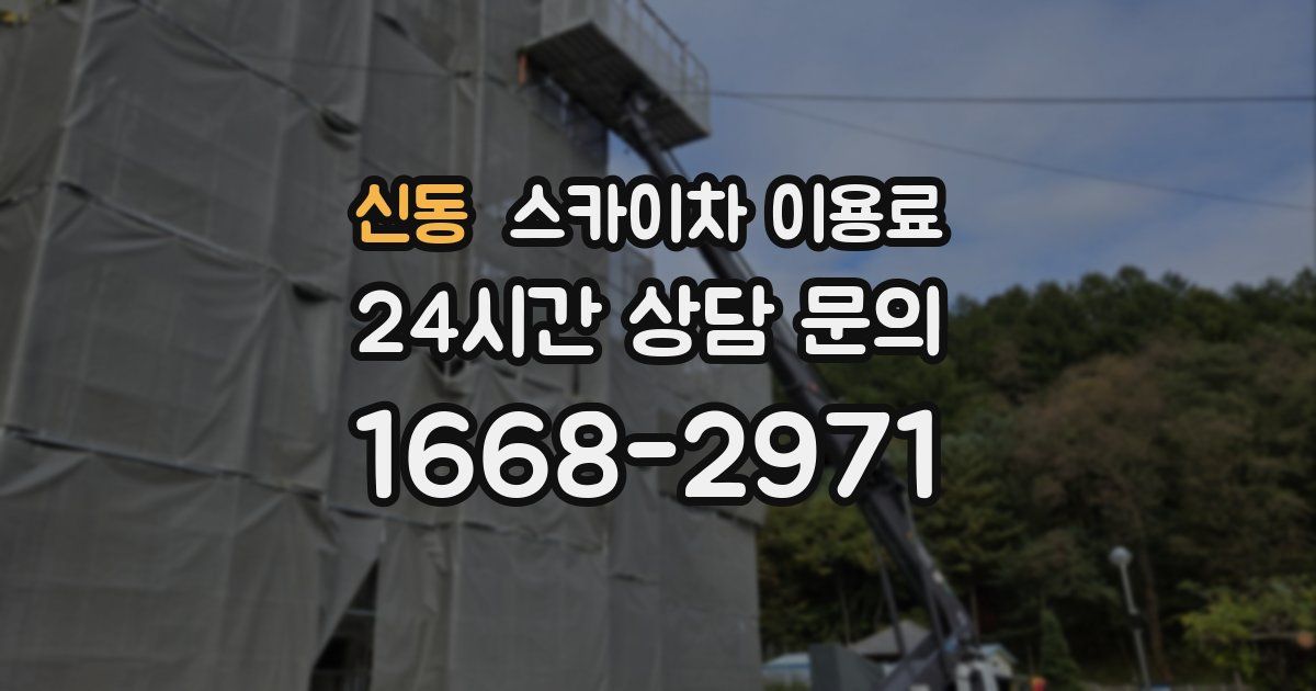 신동 스카이차 이용료