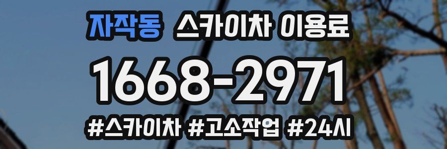 자작동 스카이차 이용료