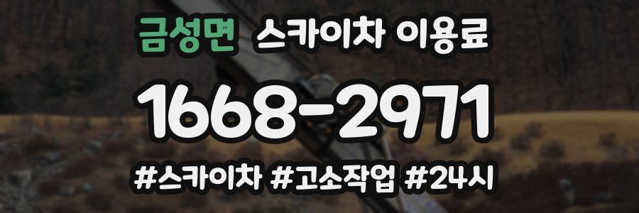 금성면 스카이차 이용료