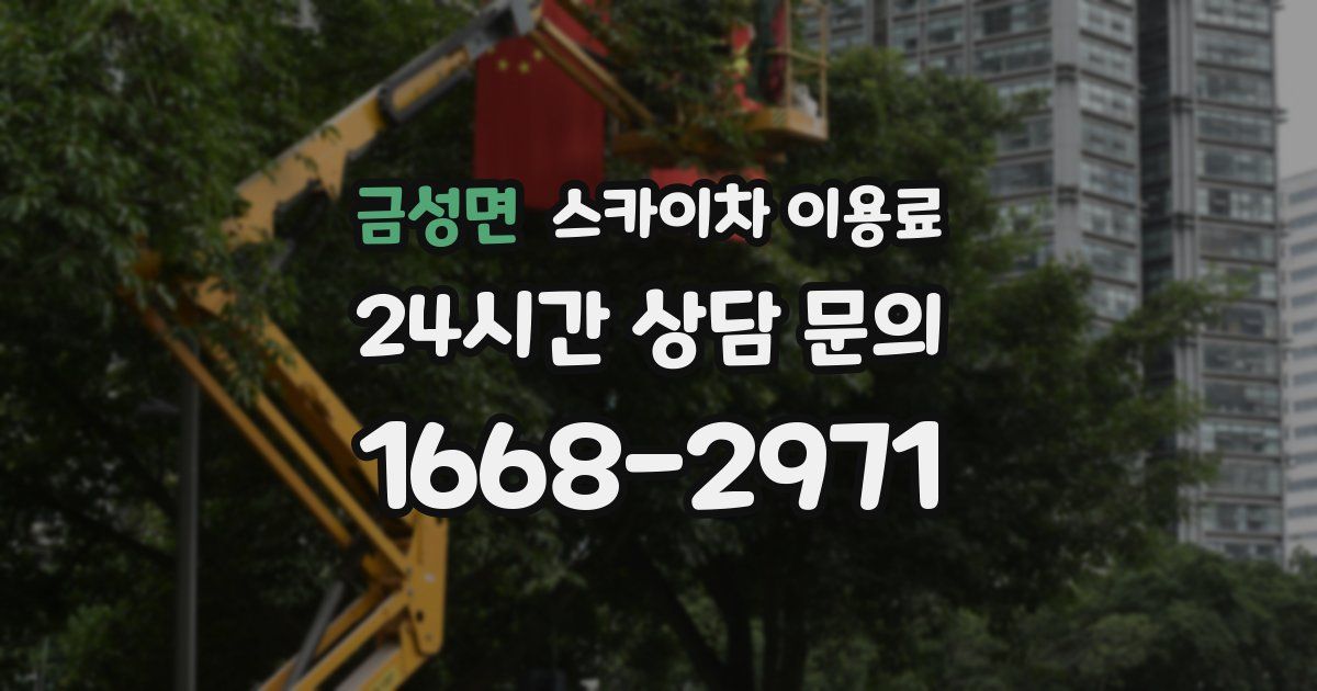 금성면 스카이차 이용료