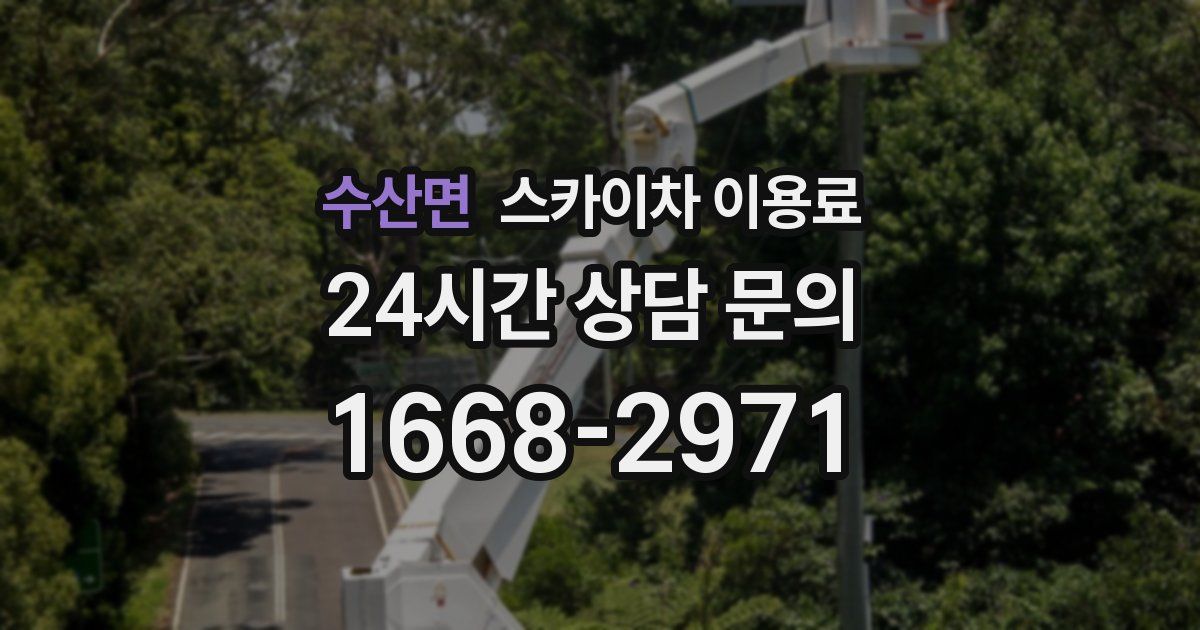 수산면 스카이차 이용료