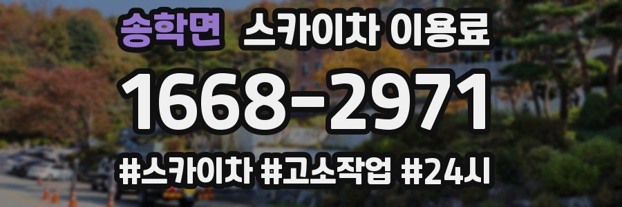 송학면 스카이차 이용료