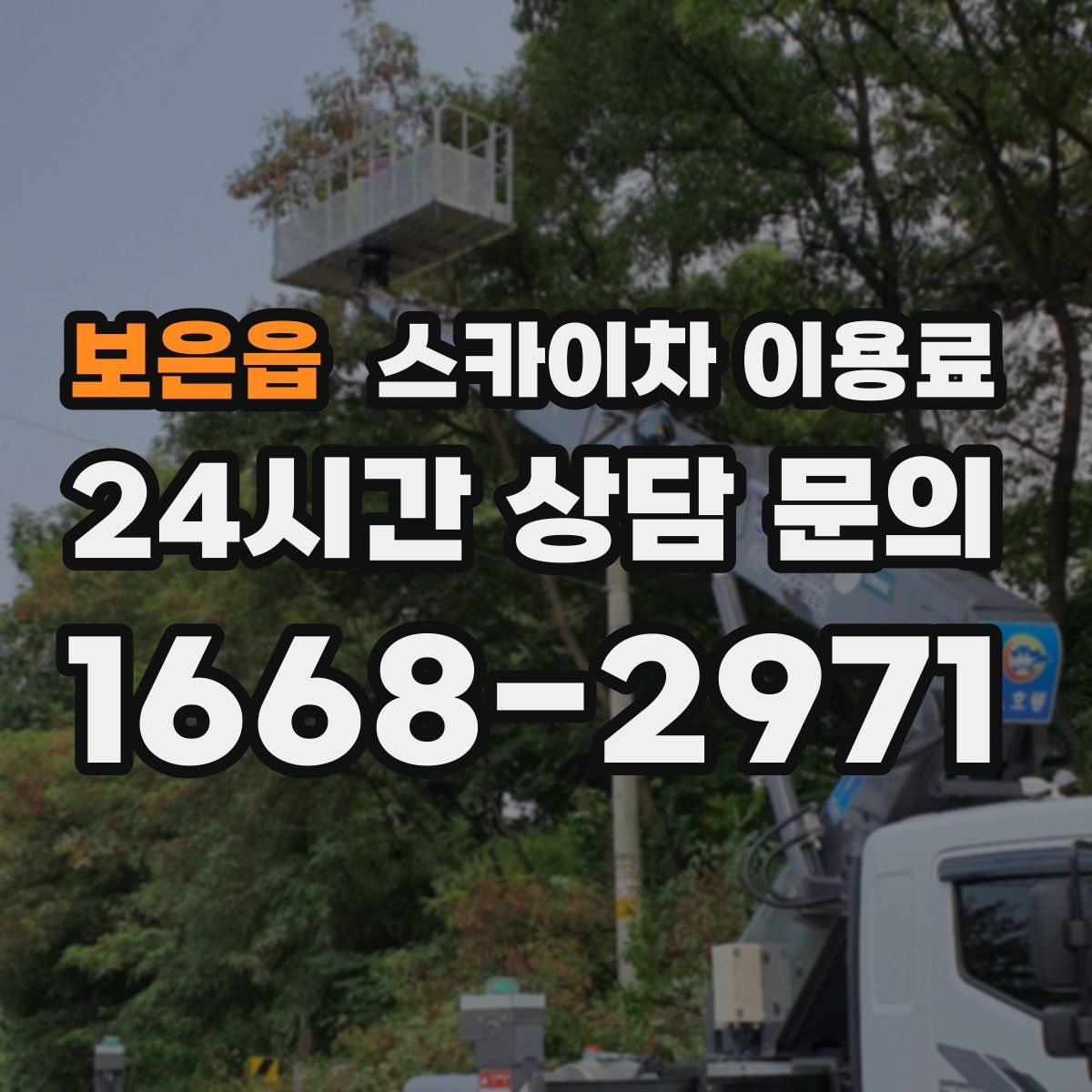 보은읍 스카이차 이용료