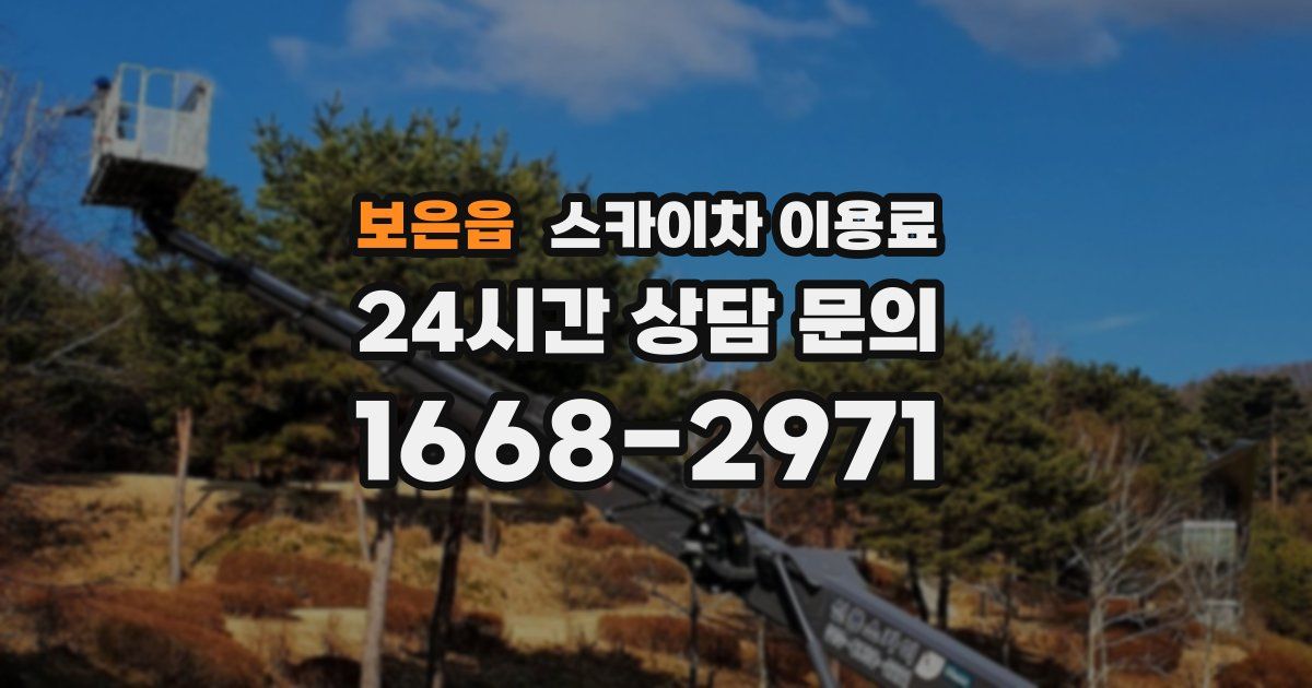 보은읍 스카이차 이용료