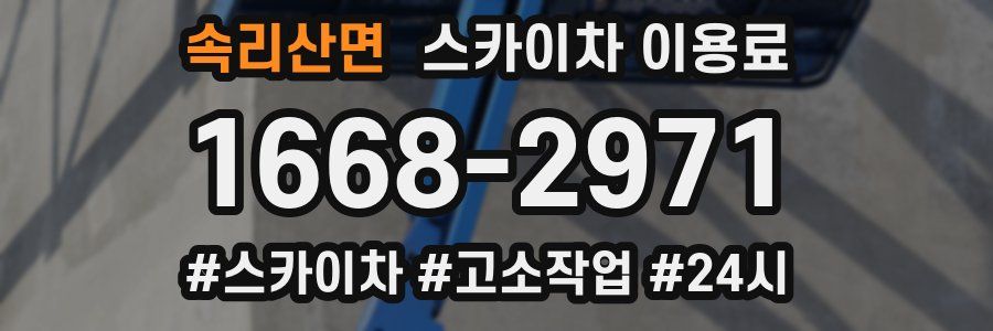 속리산면 스카이차 이용료